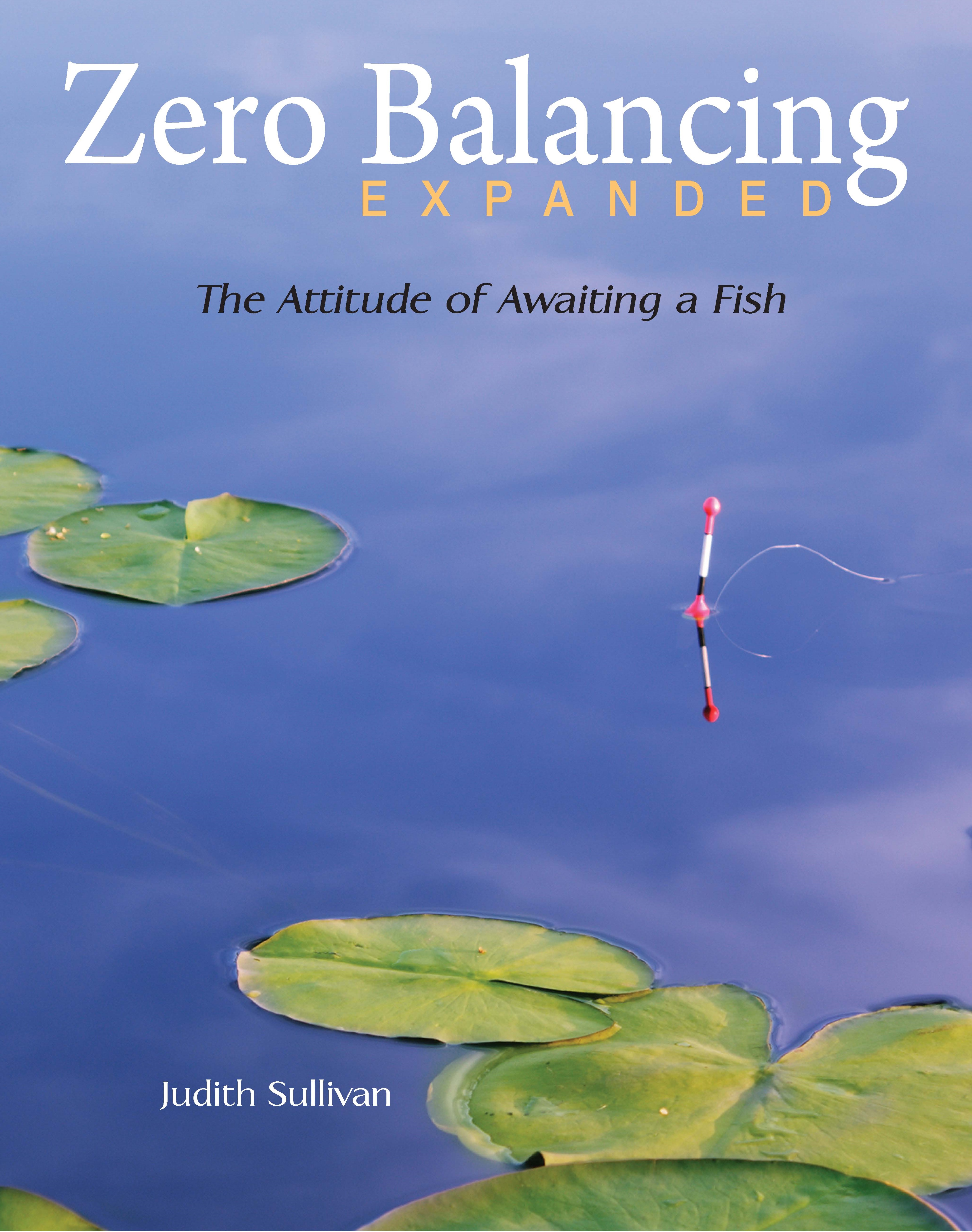 Cover of Zero Balancing Expanded by Judith Sullivan